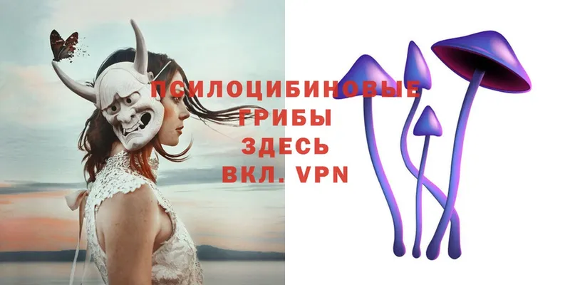 Галлюциногенные грибы Magic Shrooms  мориарти Telegram  Семикаракорск  hydra  